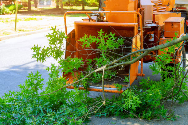 Lawn Grading and Leveling in Von Ormy, TX